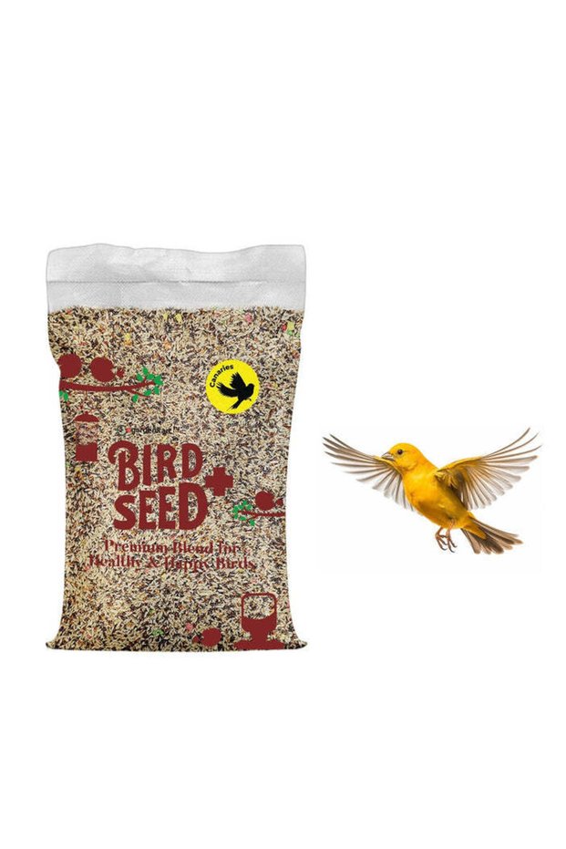 Premium Canary Bird Food - Nutrient-rich Blend for Vibrant Feathers and Health 10kg
