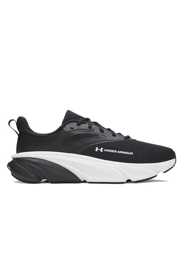 Rogue 6 trainers