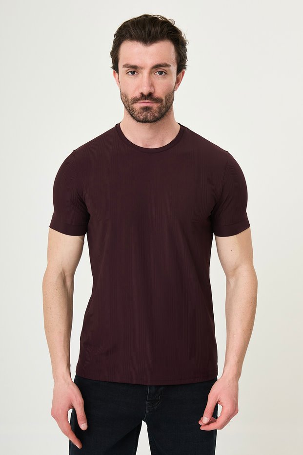 Striped Slim Fit Crew Neck Men's T-Shirt Claret Red - 36878.26Y
