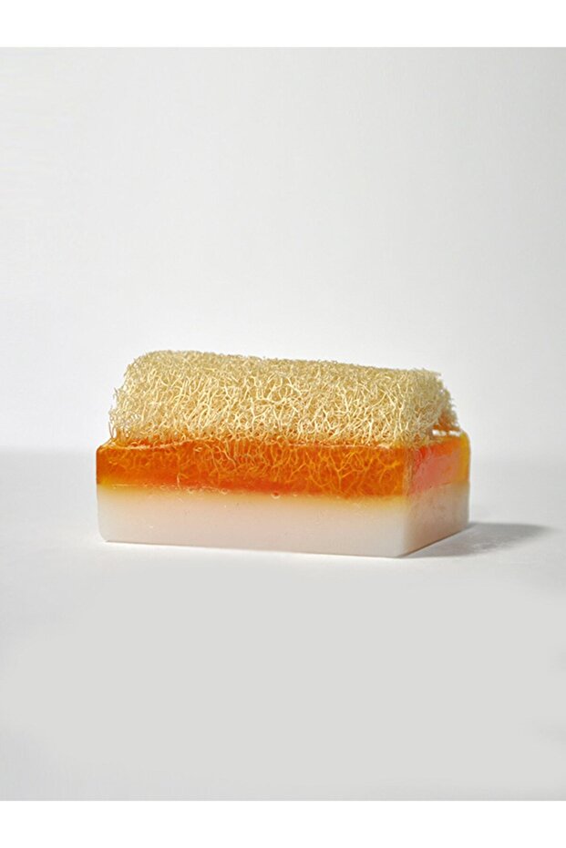 Goat Milk Honey Pumpkin Fiber Soap 1 Pc