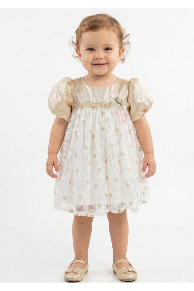 Infant Girls Party Dress Short Sleeve, 36M