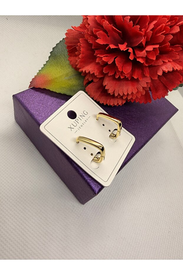 Sade New Model Halka Steel Earrings