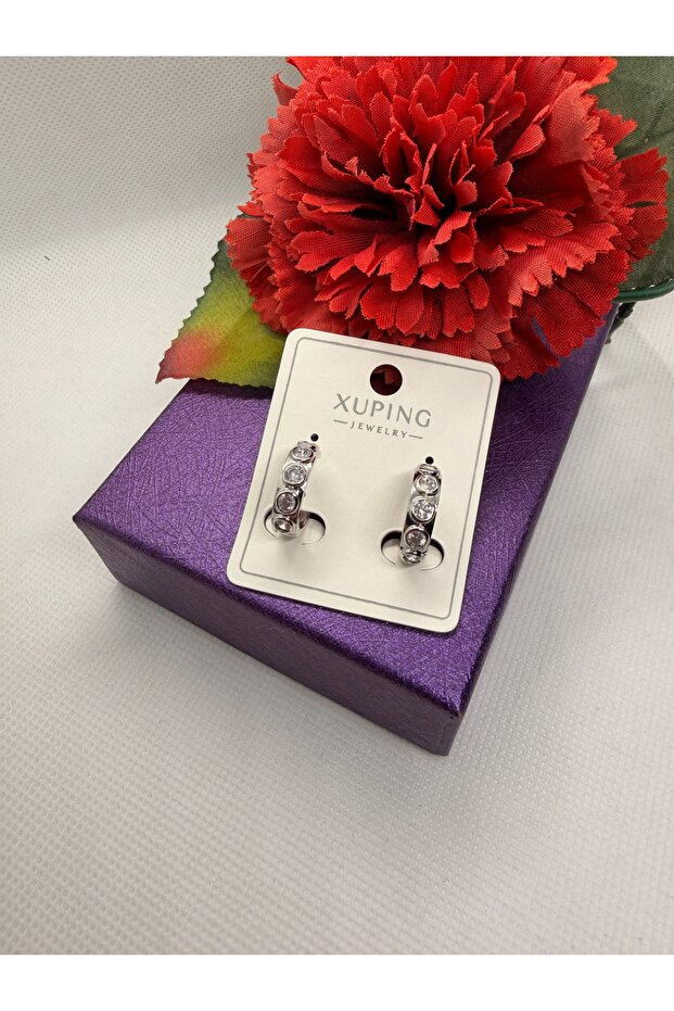 Bird Eye Zircon Stone Circle Steel Earrings