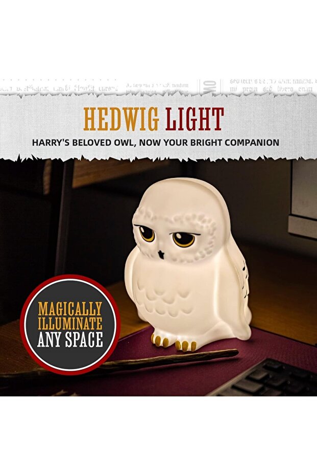 Harry Potter Hedwig Işık - 2