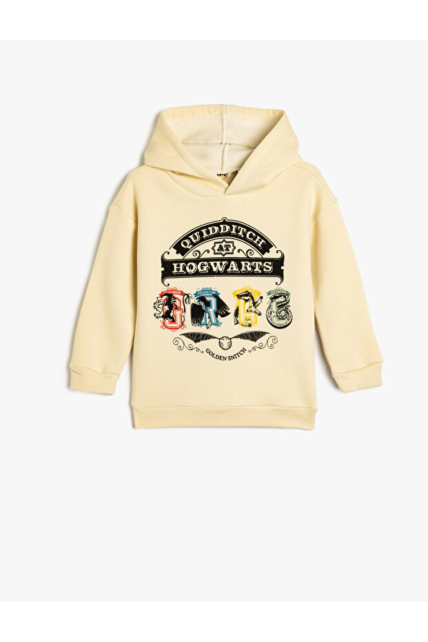 Harry Potter Sweatshirt Licensed Hoodie Raster Cotton Blended
