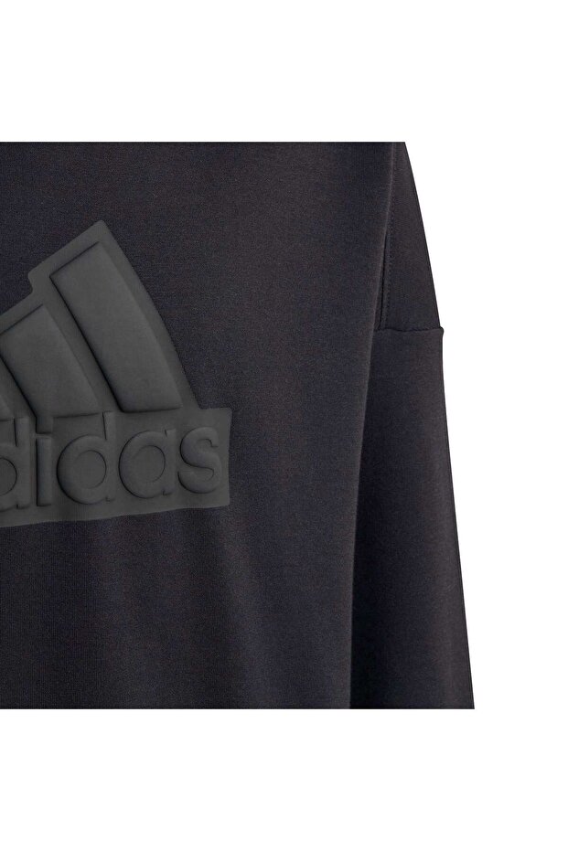 Future Icons Logo Kapüşonlu Çocuk Sweatshirt - 3