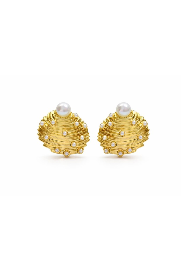Steel Pearl Sea Shell Earrings