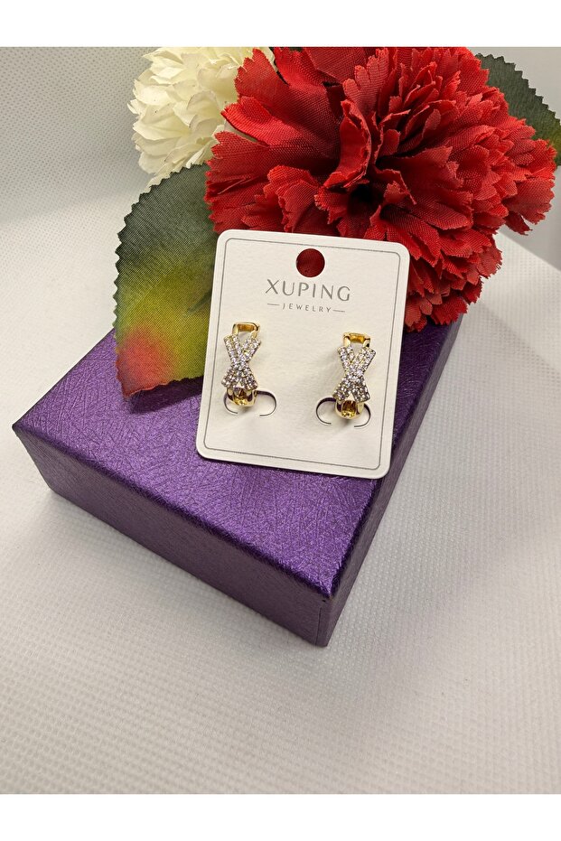X Model Steel Earrings with Zircon Stones on the Ring