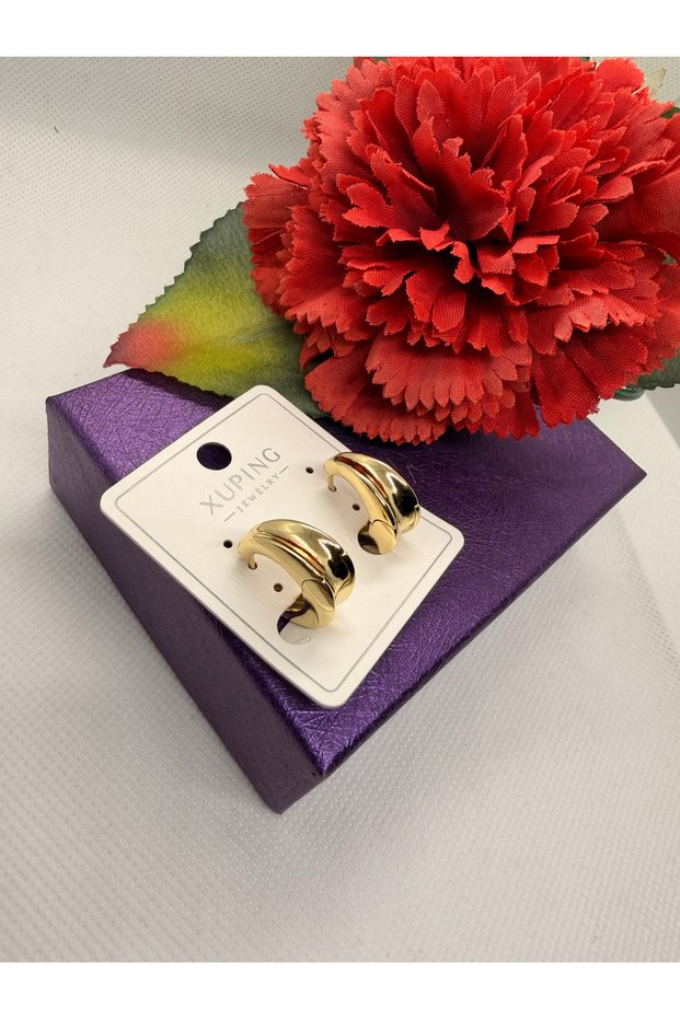 Jeweler's Series Simple New Model Ring Steel Earrings