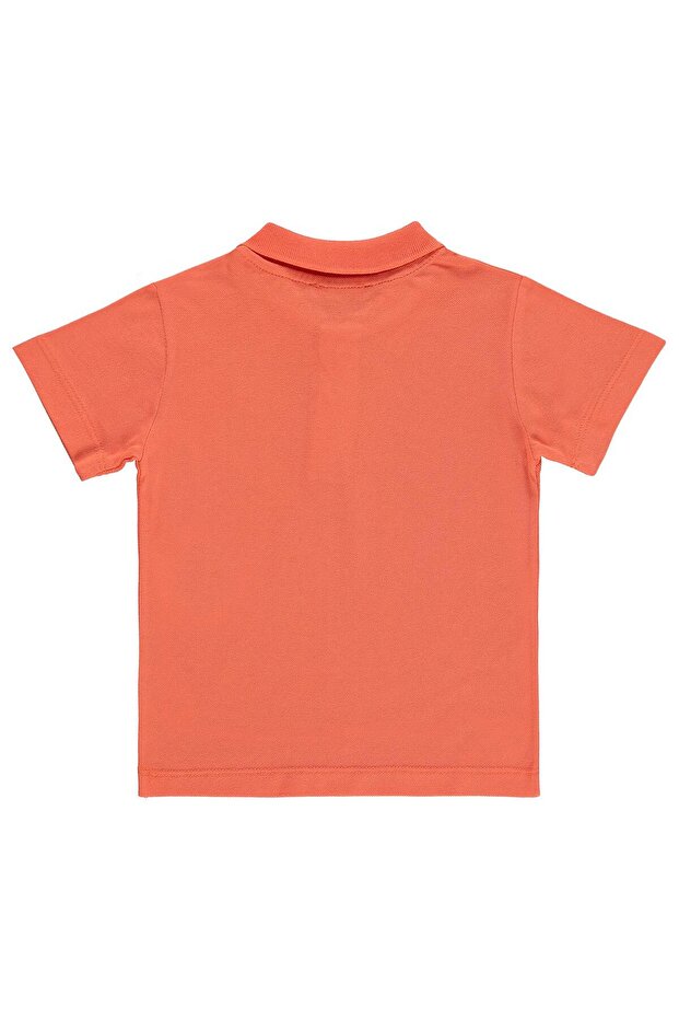 Boy's Palm Tree Embroidered Polo Collar T-Shirt for Ages 2-5 - Pink