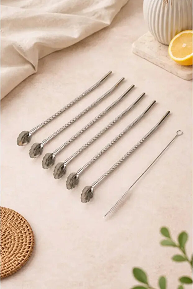 6 Pieces of Stainless Steel Spoon and Straw Set with Leaf Tips + Cleaning Brush, Both Spoon and Straw