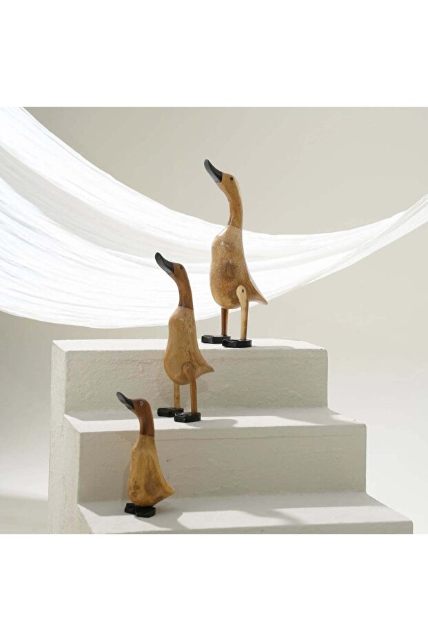 Duck Set of 3