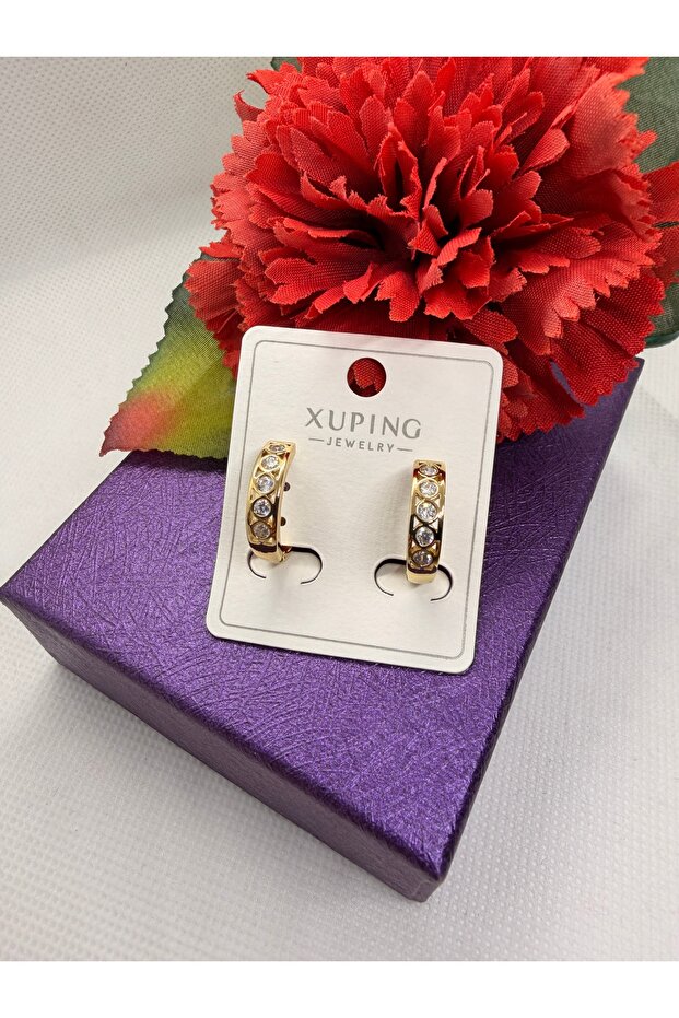 Bird Eye Zircon Stone Circle Steel Earrings