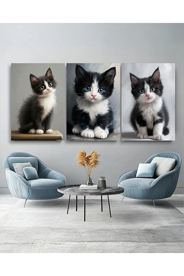 TOMBİŞ KEDİCİK