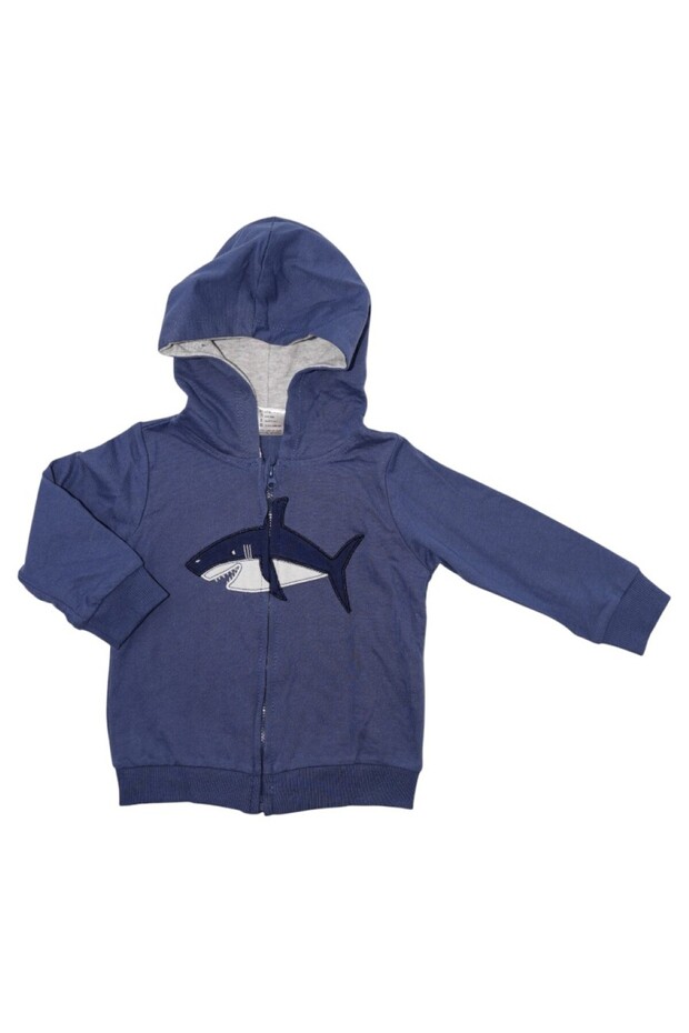 -Printed Hoodies for Boys & Girls-Multicolor-09M to 36M