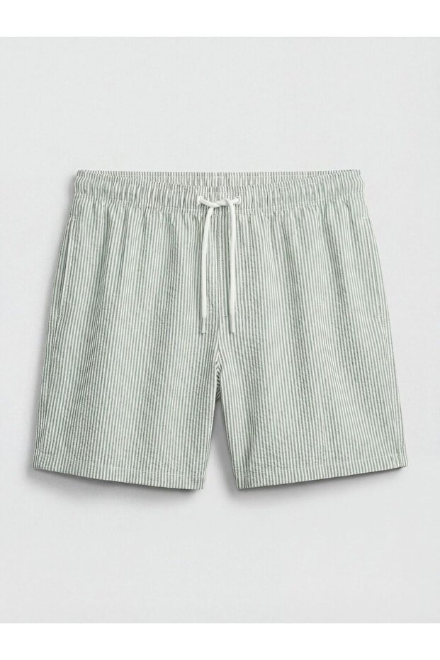 Striped Men's Swim Shorts