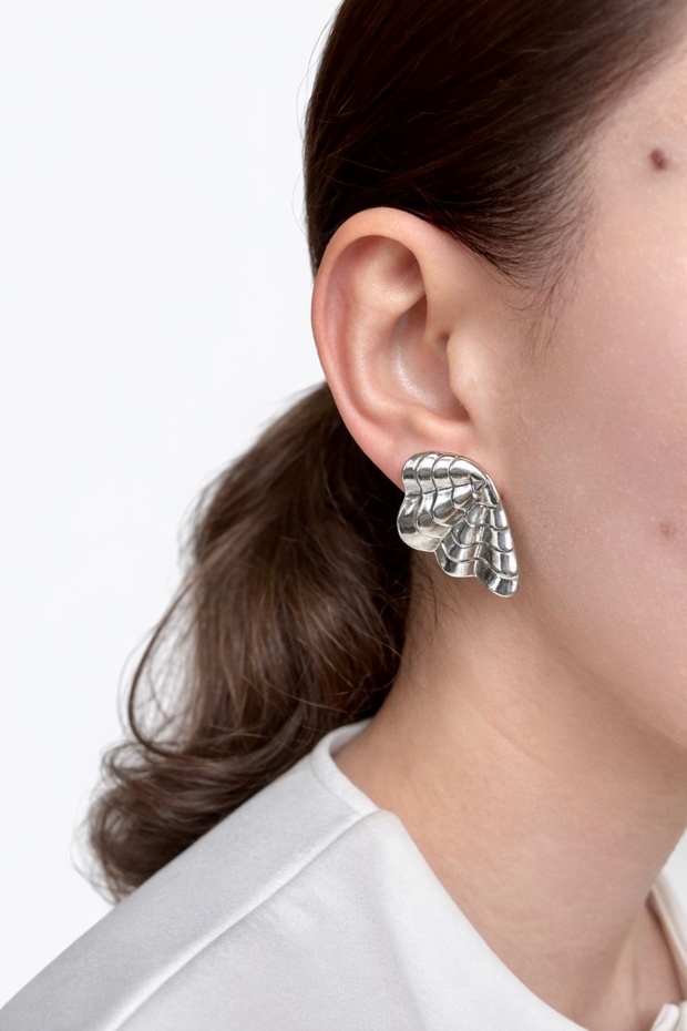 Seashell Model Earrings