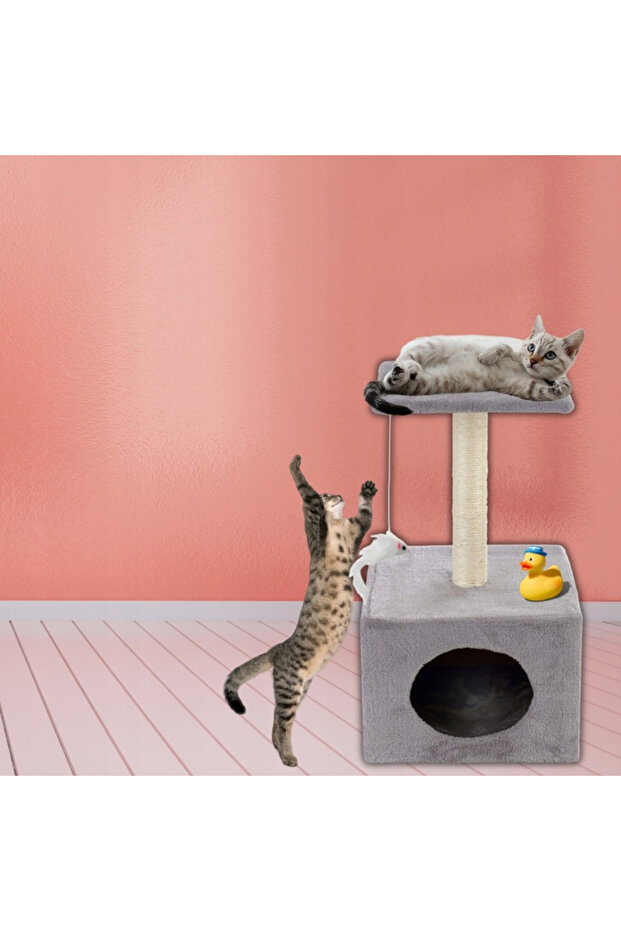 Cat play set, with scratching post, hidden, platform, 62cm, gray - 4