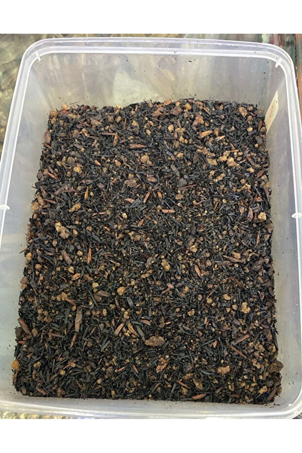 Mabsus Slala Bukhoor with Amazing Aroma continuing Smelling 1000g
