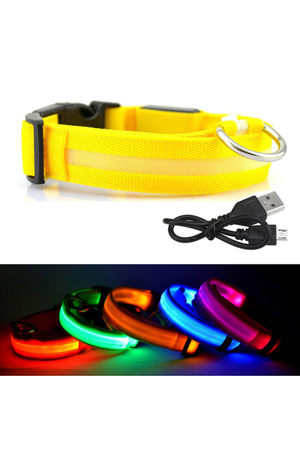 LED Collar Size XS