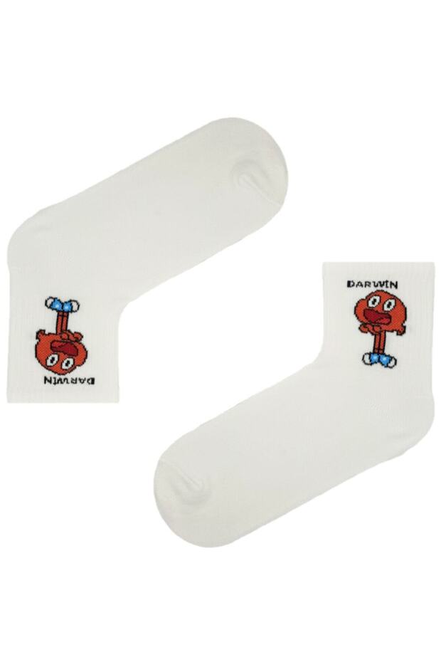 Darwin Themed Socks - White - 5
