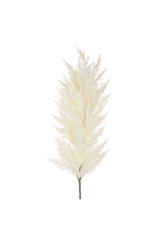 White Pampas grass 86 centimeters