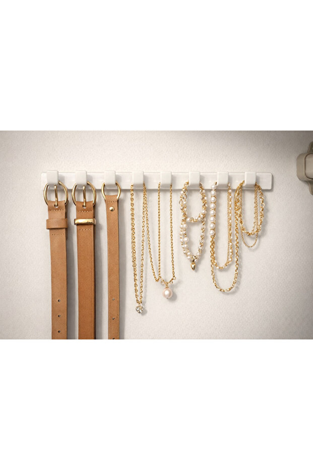In-Closet Organizer Jewelry Belt Hanger Rack