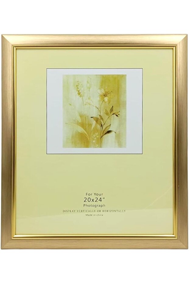 FRAMES & DECOR Certificate Picture Wall-Mounted with Gold 50.8x60.9cm