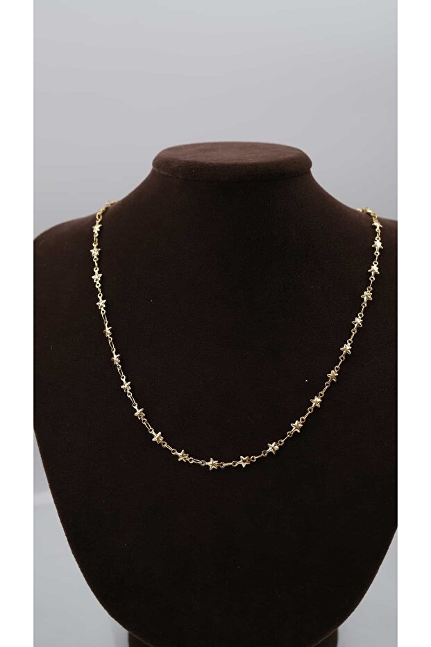 Gold Mini Star Plate Necklace
