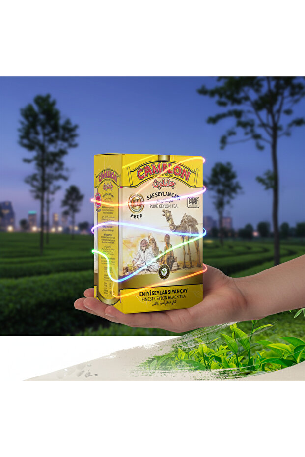 Seylan Ithal Sıyah Çay 900 gr