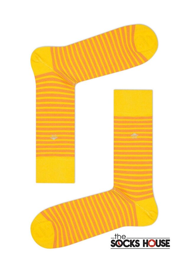 Thin Circle Patterned Socks - 3