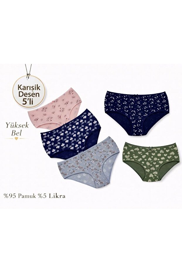 Women's Plus Size High Waist Panties