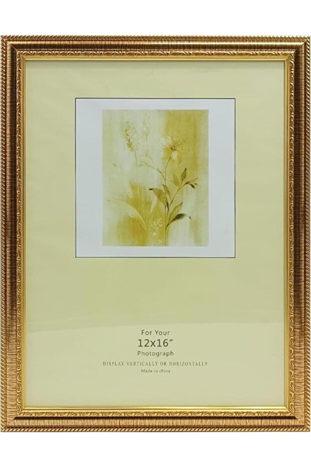 FRAMES & DECOR Classic Gold Border Design Photo - Elegant Home and Memorable Gift, 12x16