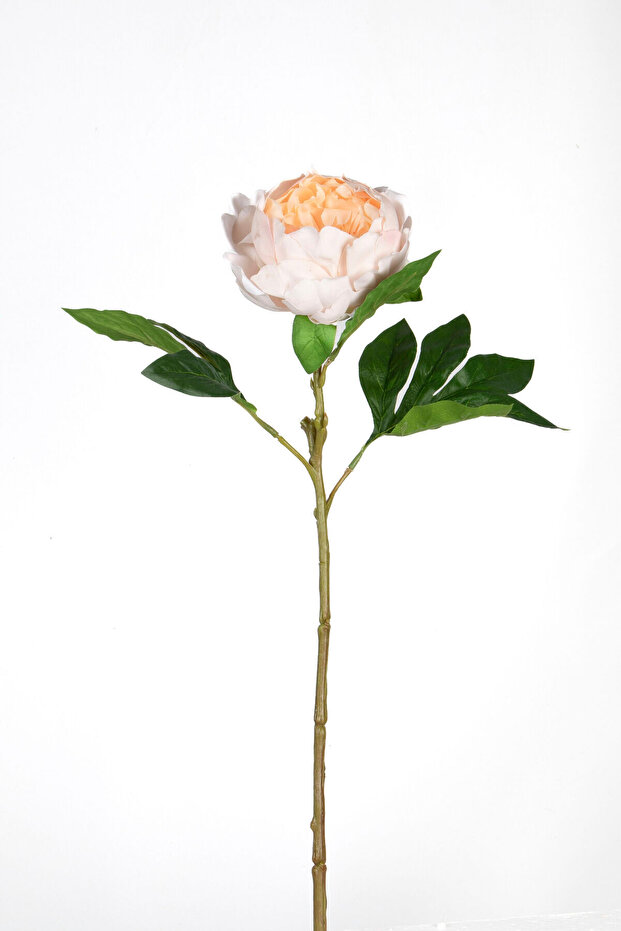 ŞAKAYIK 58CM KREM