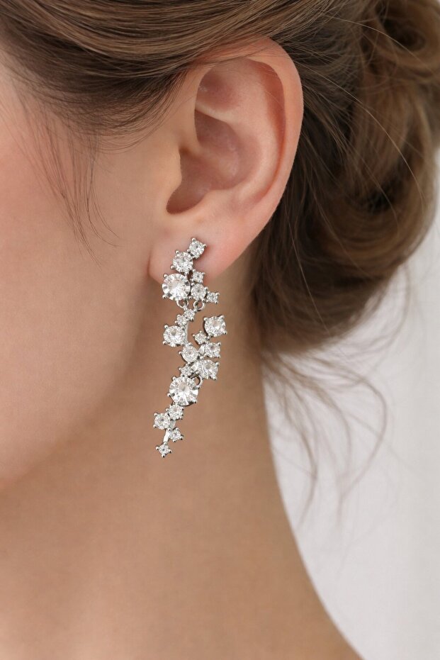 Silver Color Stone Detailed Earrings (Pair)