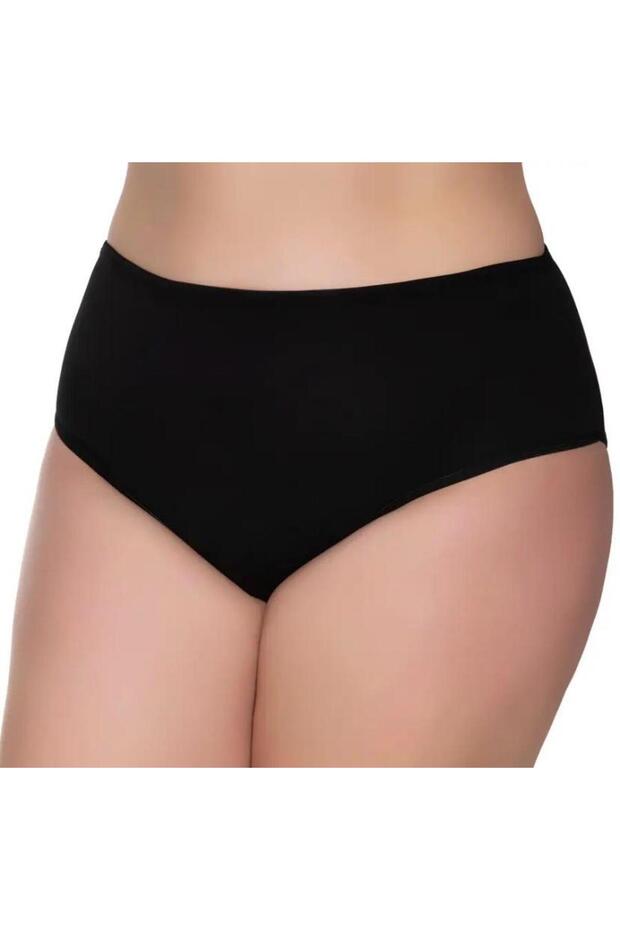 12-Piece Women's Thin Elastic Bato Panties - 1047