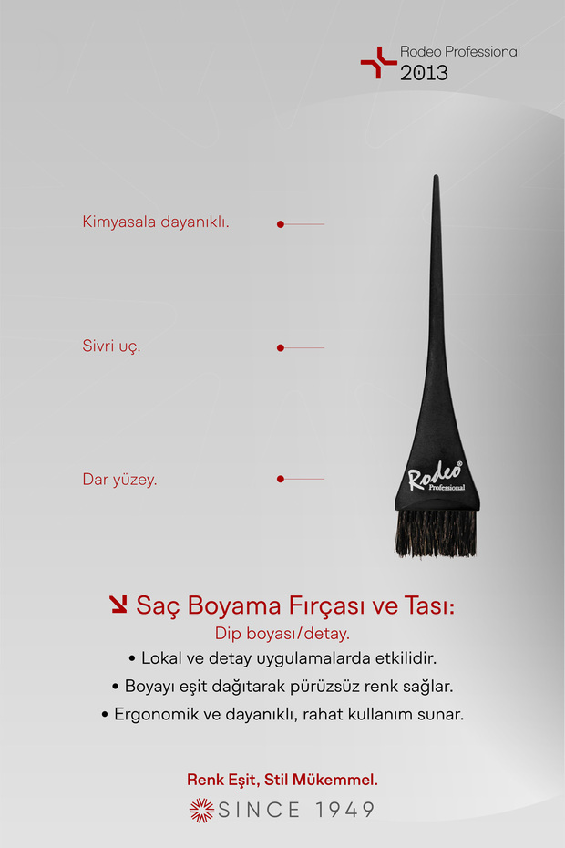 Professional 2013 Boya Fırçası