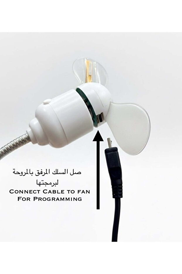 Clock Fan - 2