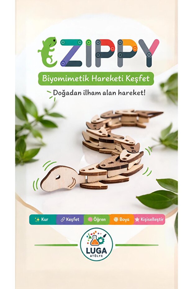 Zippy