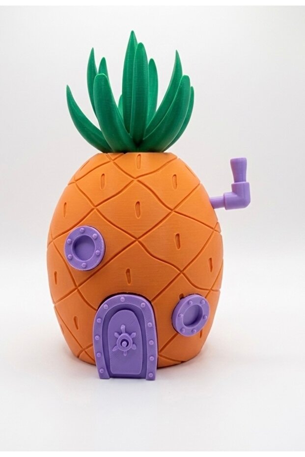 PINEAPPLE HOUSE KUMBARA - 1