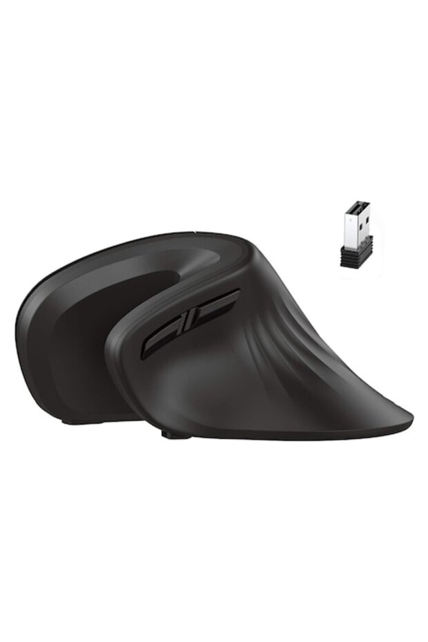 Mouse ergonomic - 1