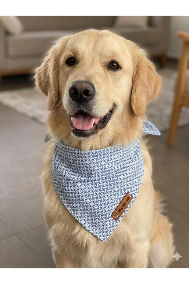 Blue Dog Bandana
