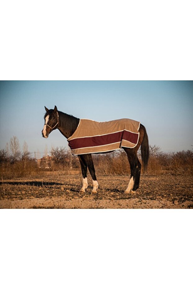 Polar Ter Blanketi