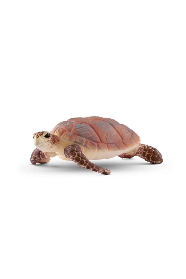 Sea Turtle