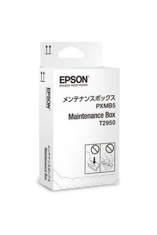 Consumabil maintenance C13T295000