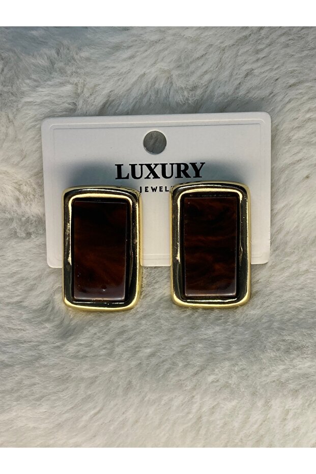 Brown Stylish Design Earrings. Does Not Darken, Anti-Allergic.