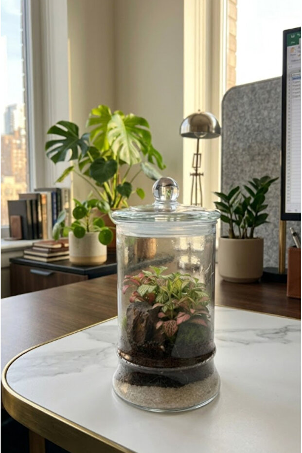 Emerald Haven Terrarium