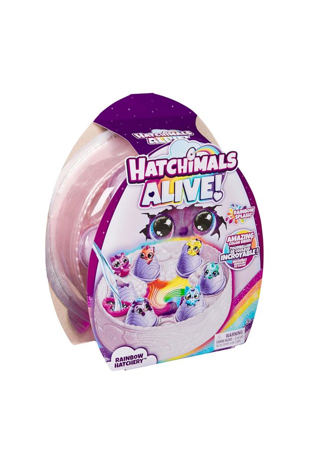 Alive Rainbow Hatchery 6070168