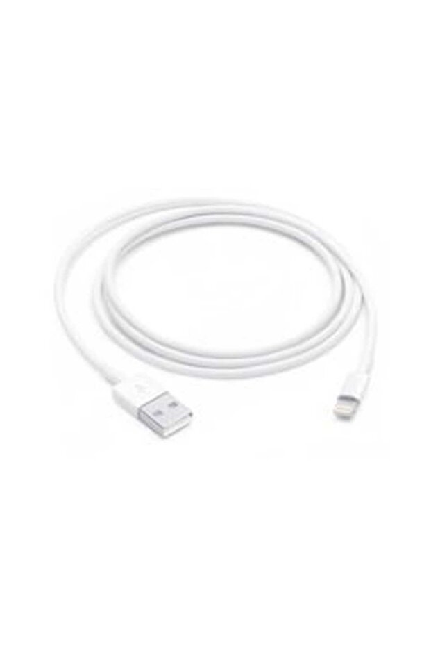 Lightning to USB Cable, 1m - 4