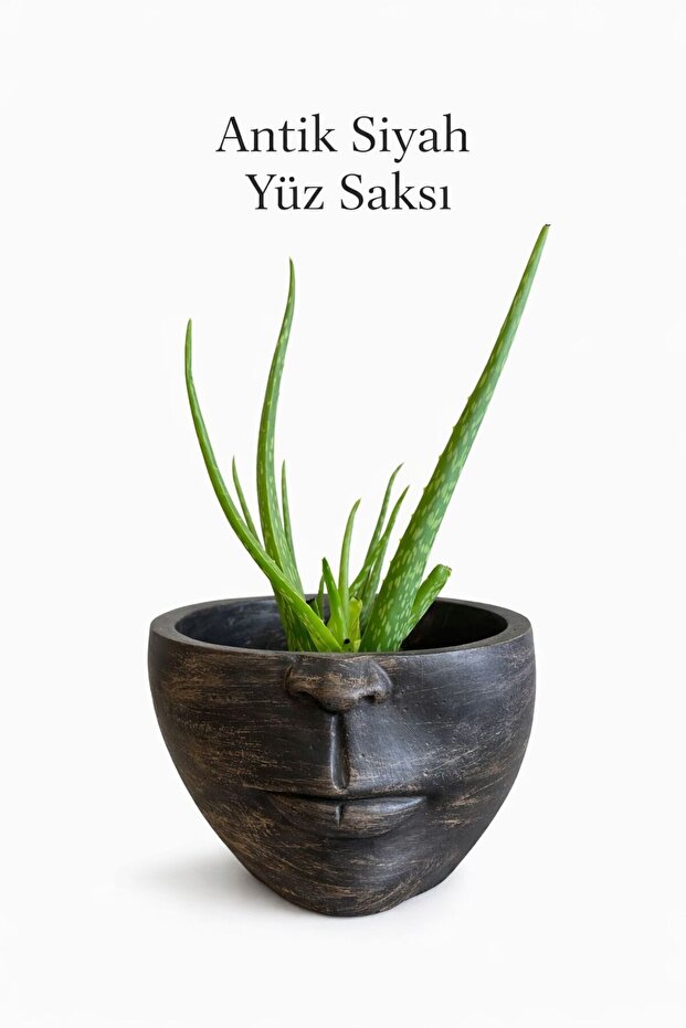 SAKSI